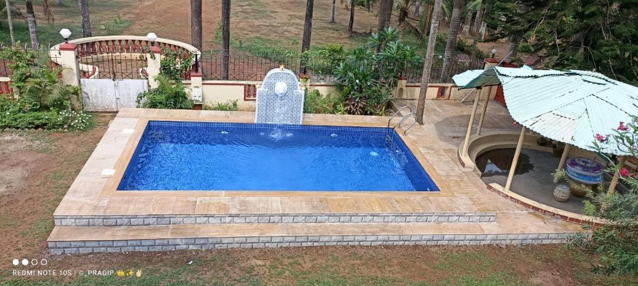 David Villa Nerul  Luaran gambar